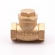 Zhejiang Kaibeili BWVA Brass Check Valve Non-return Flap Valve